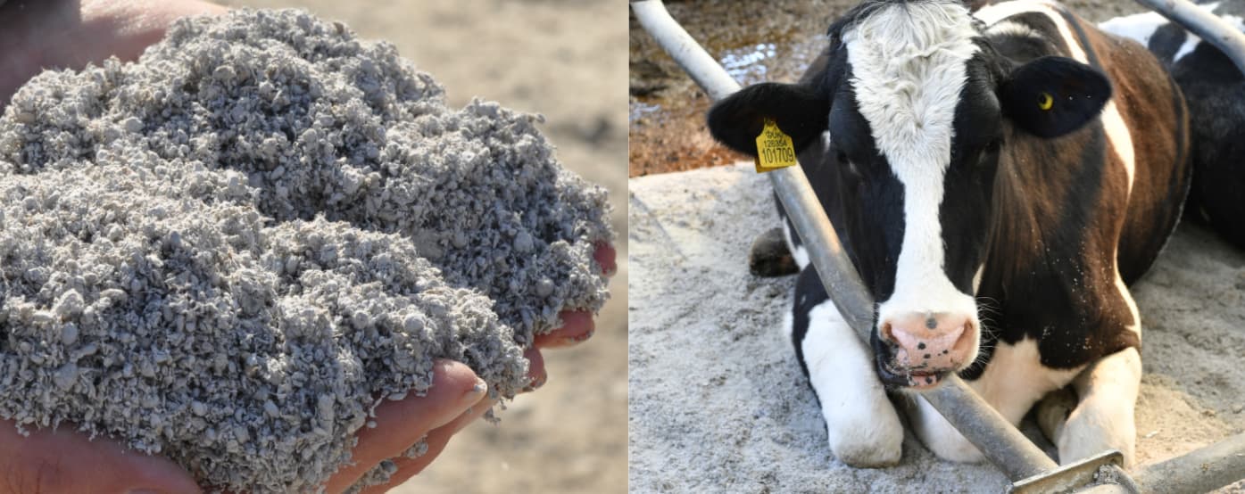 Komfort Cattle Bedding Dried Paper Crumb Dairy Bedding